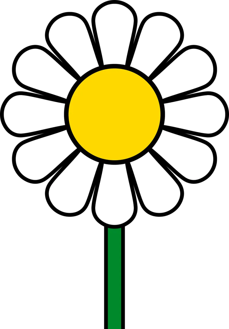 Flower Daisy Petals Stickdatei – Blumen
