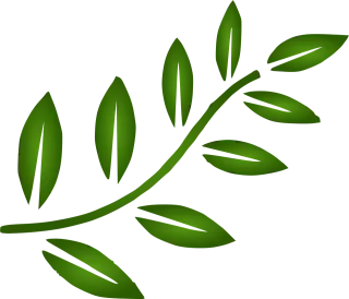 Branch Leaves Nature Stickdatei