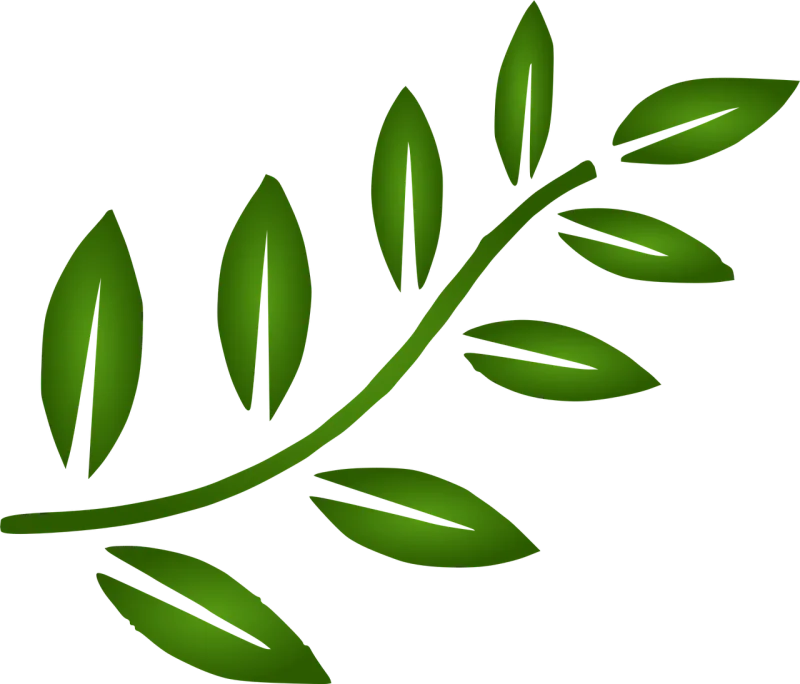 Branch Leaves Nature Stickdatei – Natur