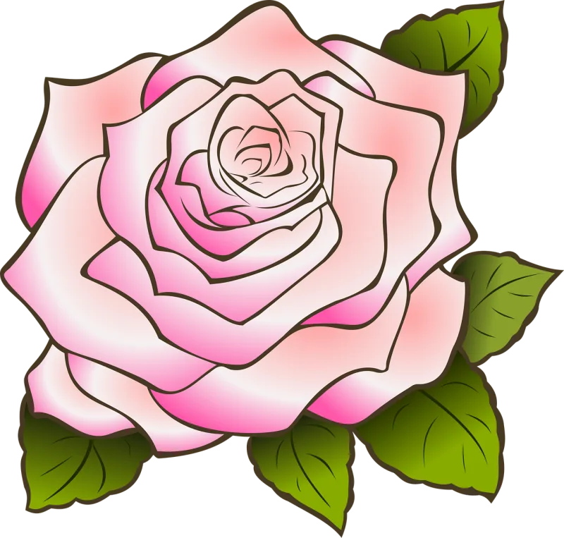 Rose Drawing Vintage Stickdatei – Herzen & Liebe