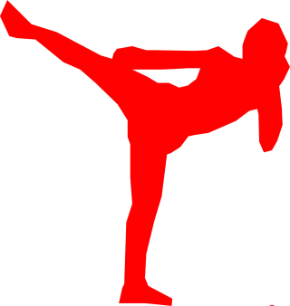 Kickboxer Silhouette Fighter Stickdatei