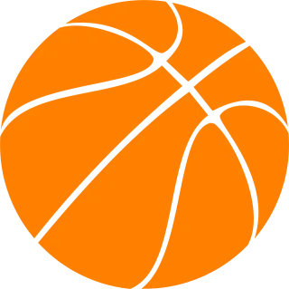 Basketball Orange Rubber Stickdatei