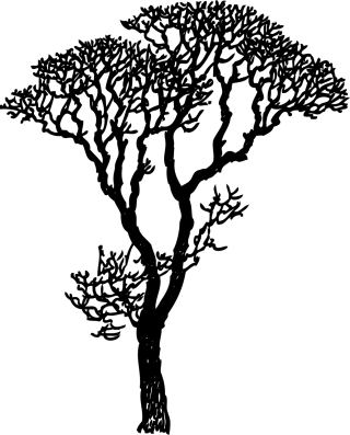 Tree Black Silhouette Stickdatei