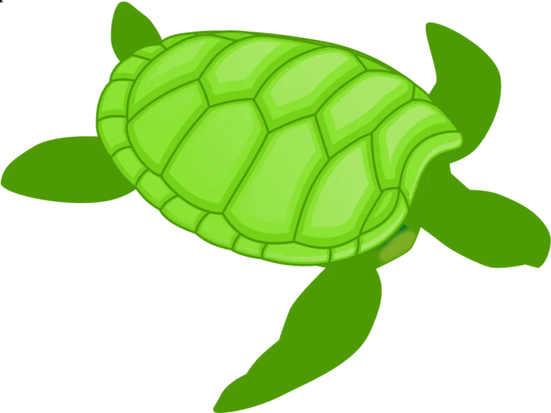 Turtle Nature Green Stickdatei – Tiere