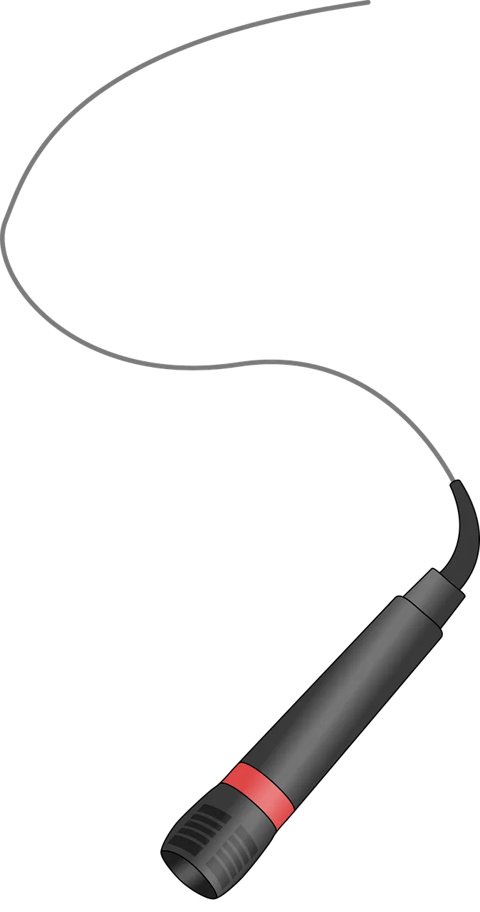 Microphone Mike Black Stickdatei – Musik