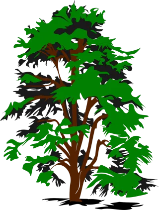 Tree Leaves Greenery Stickdatei