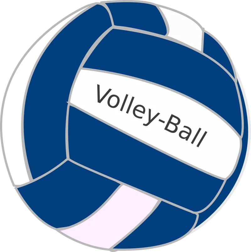 Volleyball Ball Blue Stickdatei – Sport