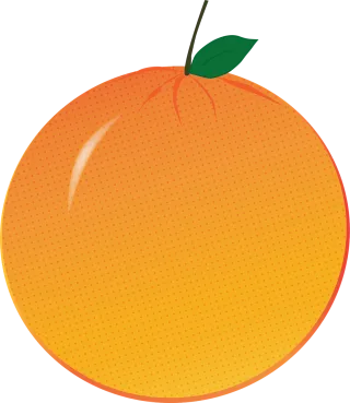 Orange Citrus Fruit Stickdatei