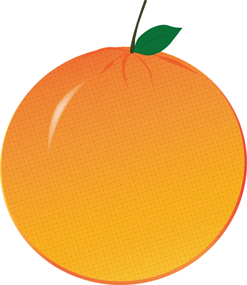 Orange Citrus Fruit Stickdatei – Essen & Trinken