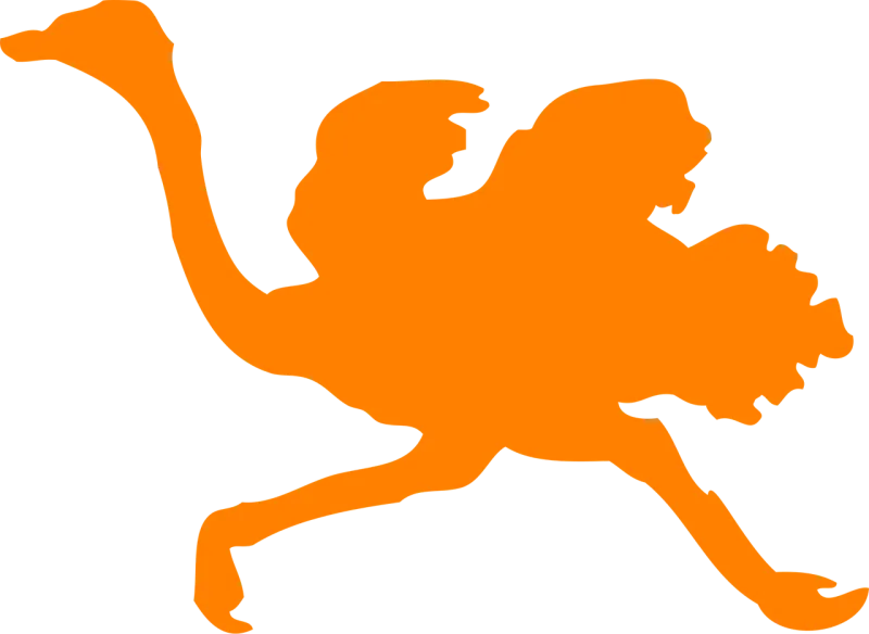 Ostrich Orange Large birds Stickdatei – Sport