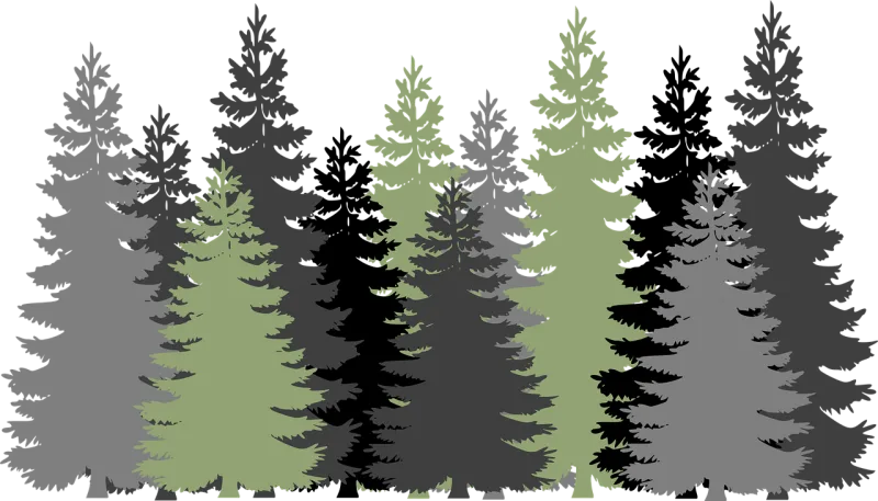 Forest Trees Evergreen Stickdatei – Natur