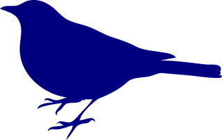 Bird Blue Silhouette Stickdatei