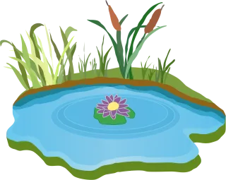 Pond Water Outdoor Stickdatei