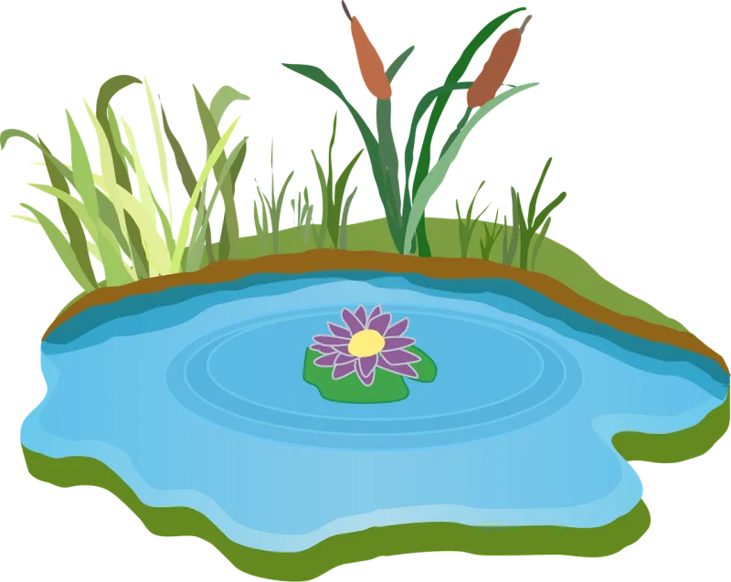 Pond Water Outdoor Stickdatei – Blumen