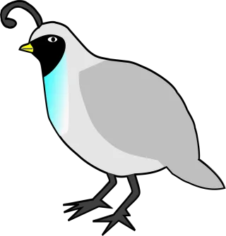 Quail Birds Animals Stickdatei
