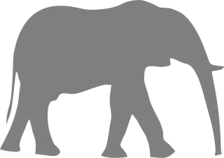 Elephant Walk Gray Stickdatei