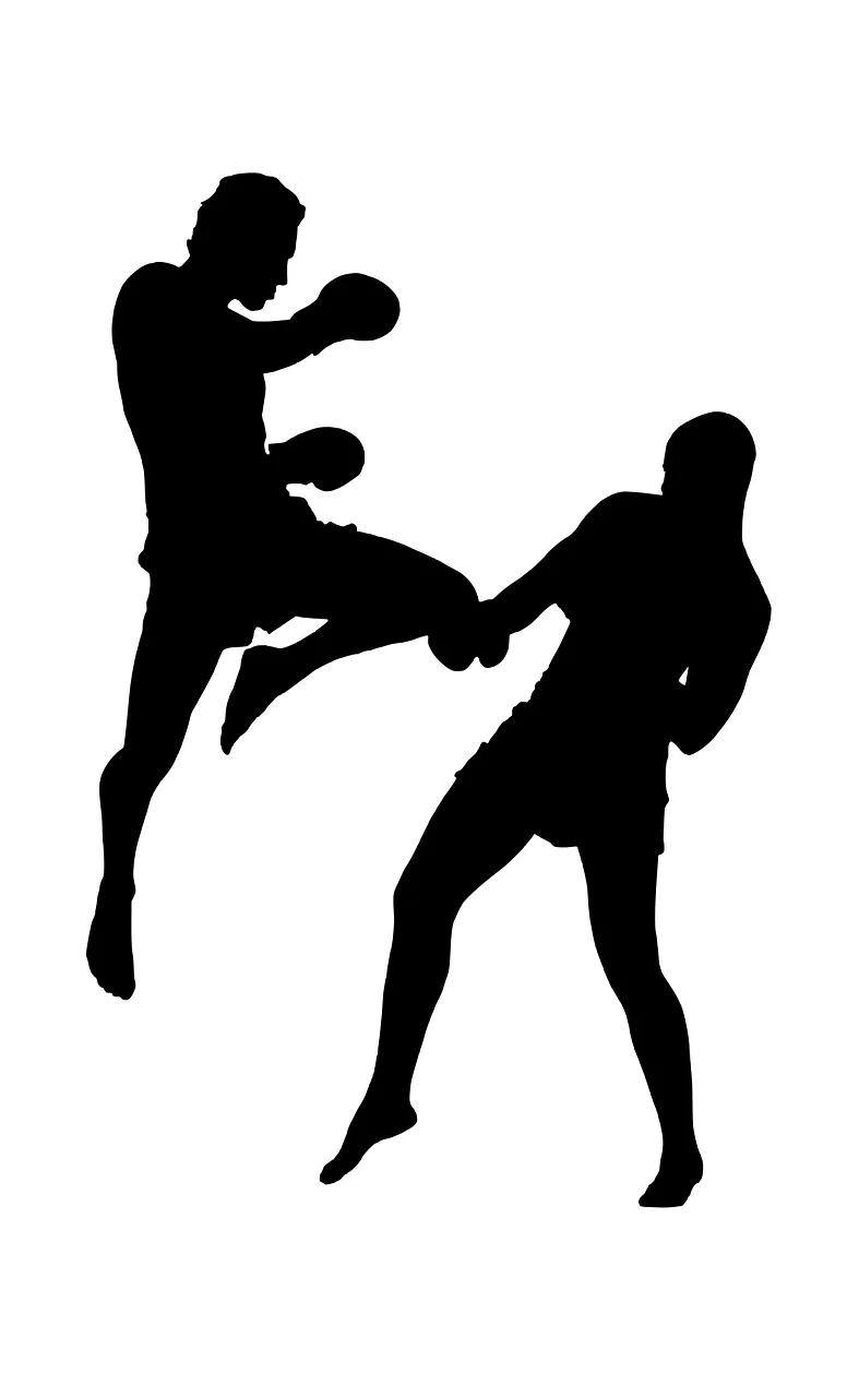 Silhouette Fight Sports Stickdatei – Sport