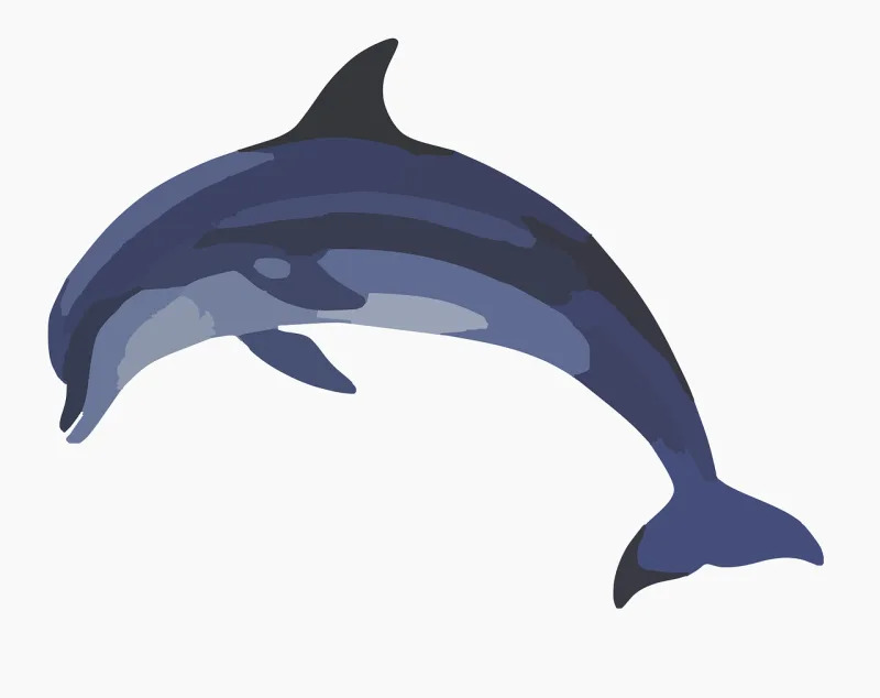 Dolphin Mammal Animal Stickdatei – Tiere