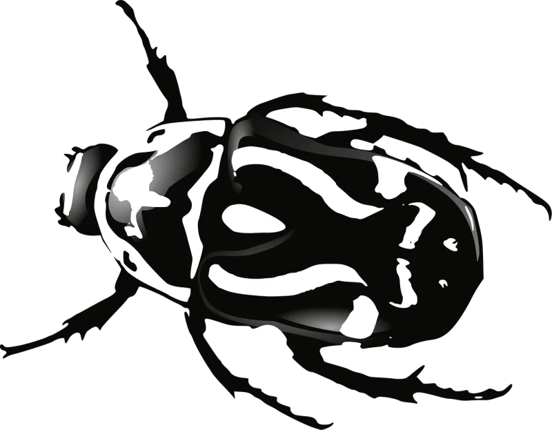 Beetle Bug Black Stickdatei – Tiere