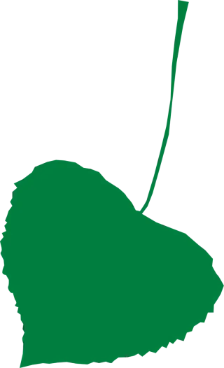 Leaf Linden Nature Stickdatei