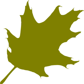 Oak Leaf Nature Stickdatei