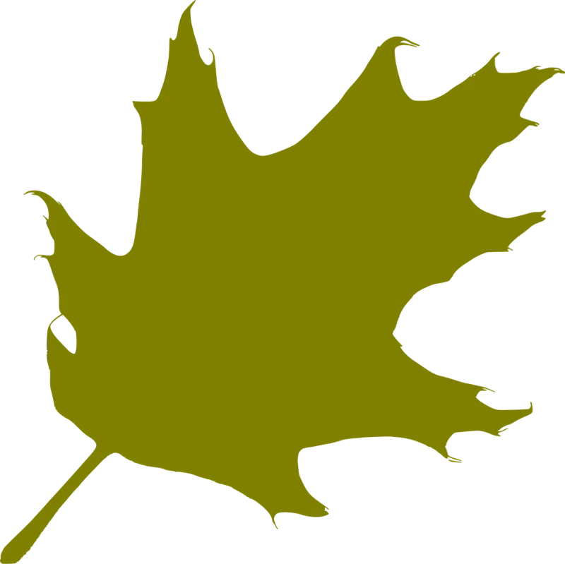 Oak Leaf Nature Stickdatei – Natur