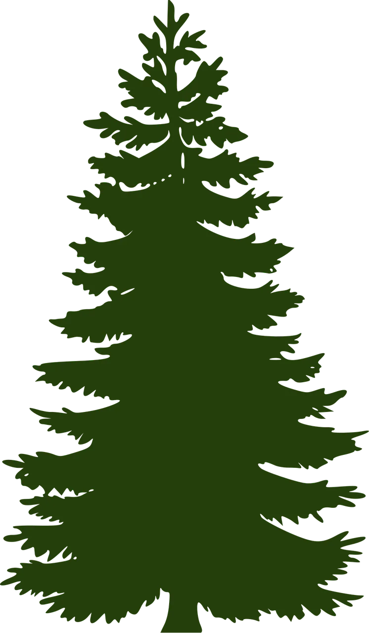 Pine Tree Flora Stickdatei – Weihnachten
