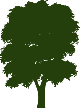 Tree Canopy Foliage Stickdatei