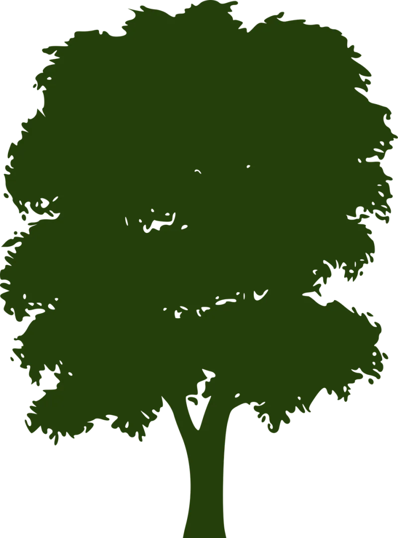 Tree Canopy Foliage Stickdatei – Natur