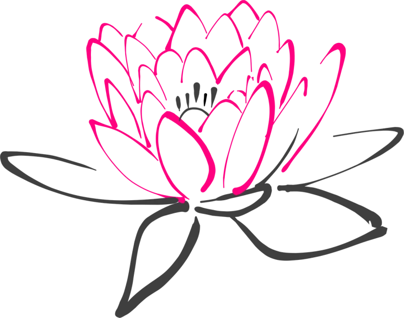 Water lily Flower Flower wallpaper Stickdatei – Blumen