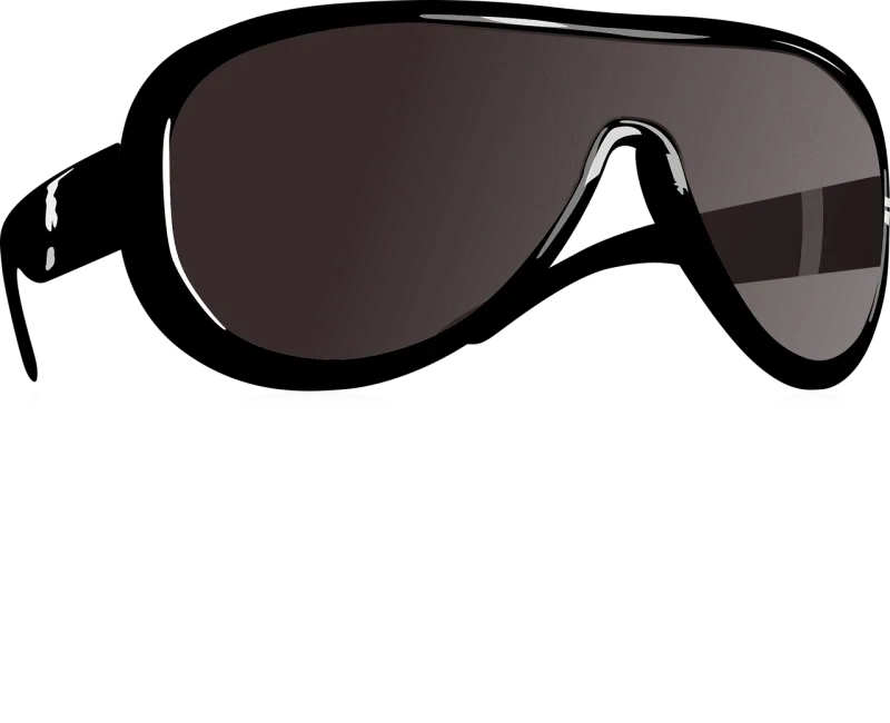 Sunglasses Cool Sun Stickdatei – Natur
