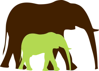 Elephant Jumbo Elephant baby Stickdatei