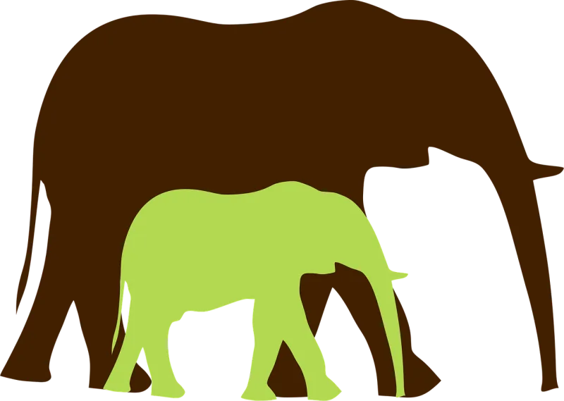 Elephant Jumbo Elephant baby Stickdatei – Tiere