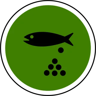 Fish Pond Water Stickdatei – Tiere