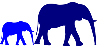 Elephant Baby Mother Stickdatei