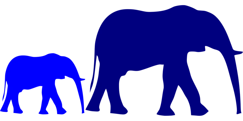 Elephant Baby Mother Stickdatei – Tiere