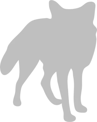 Fox Canine Animal Stickdatei
