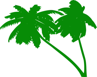 Palms Coconut tree Coconut palms Stickdatei