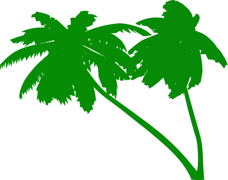 Palms Coconut tree Coconut palms Stickdatei – Natur