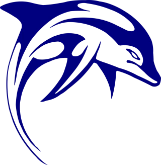 Dolphin Nature Mammal Stickdatei