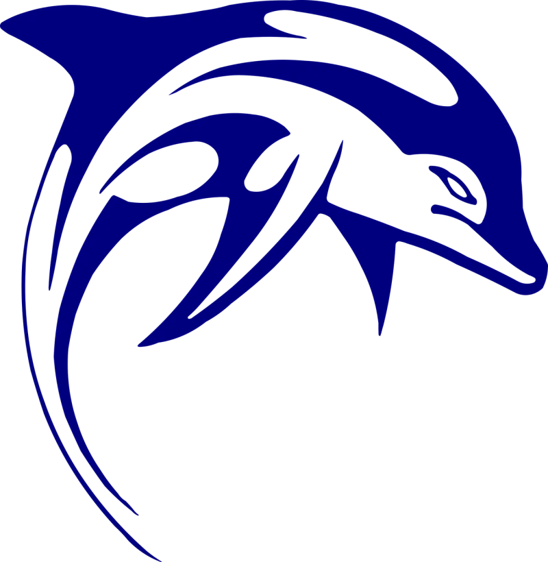 Dolphin Nature Mammal Stickdatei – Tiere
