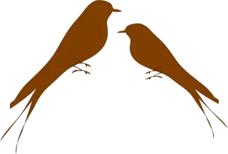 Martins Swallows Birds Stickdatei