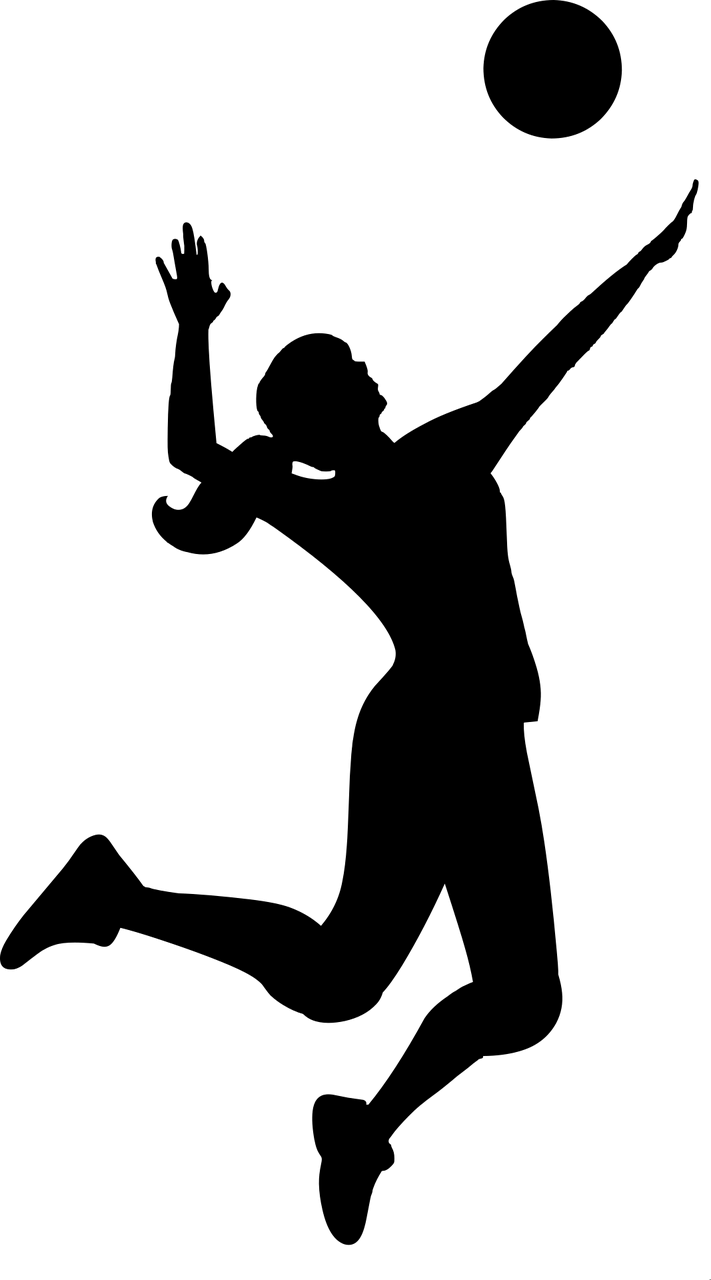 Silhouette Volleyball Match Stickdatei – Sport