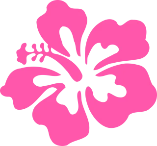 Hibiscus Flower background Pink Stickdatei