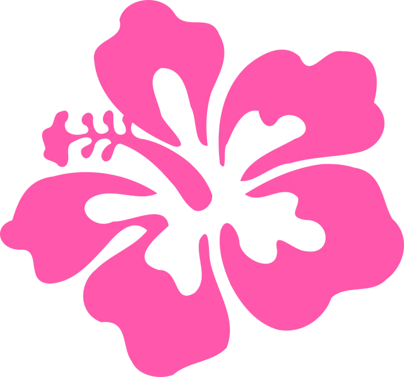 Hibiscus Flower background Pink Stickdatei – Blumen