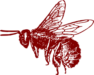 Honeybee Bee Insect Stickdatei