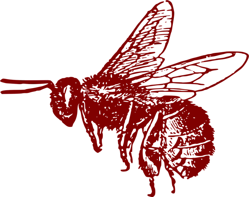 Honeybee Bee Insect Stickdatei – Tiere
