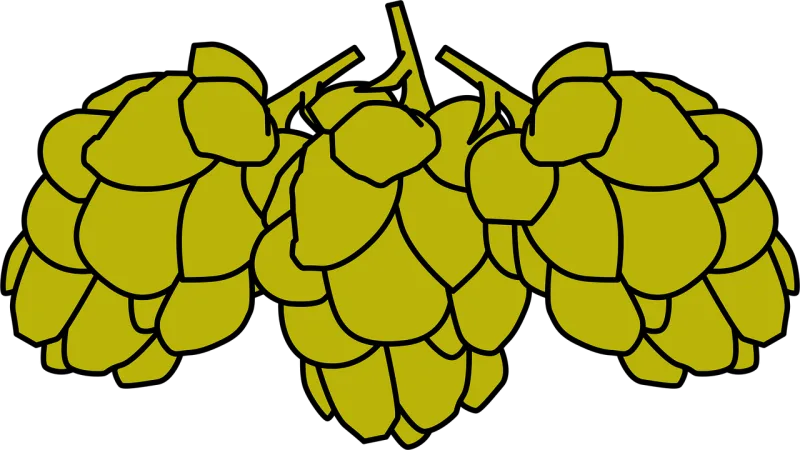 Cones Fruit Cluster Stickdatei – Essen & Trinken