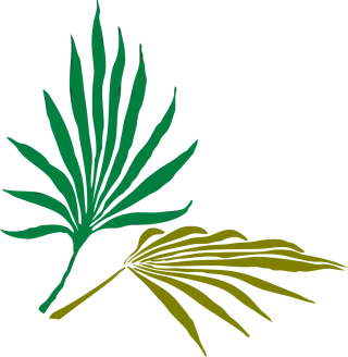 Palm leaves Palm Tropical Stickdatei