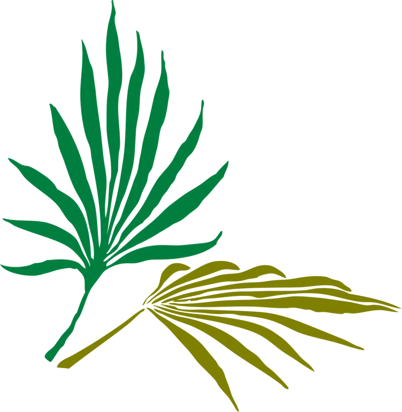Palm leaves Palm Tropical Stickdatei – Natur